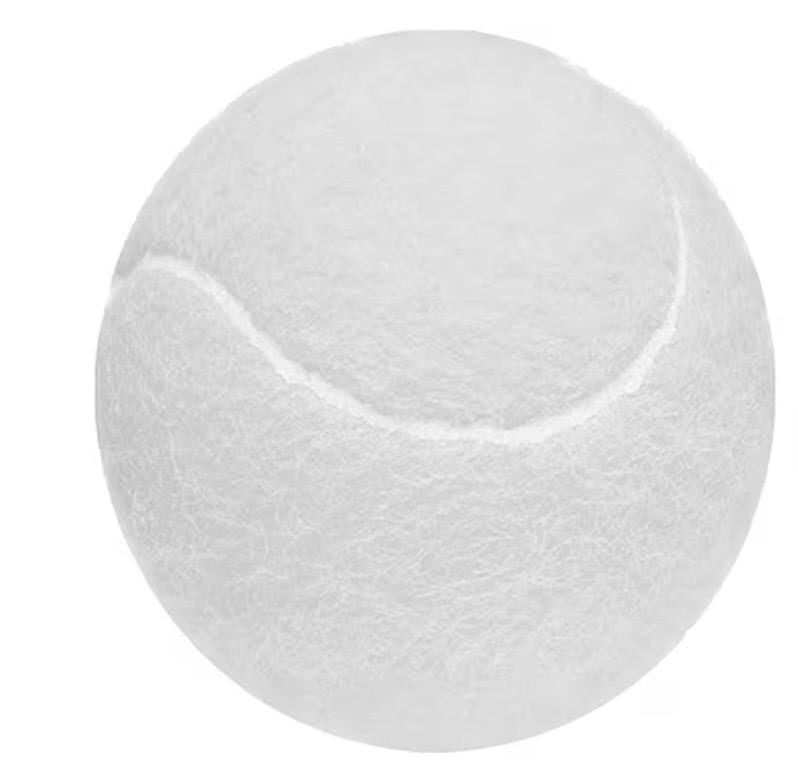 Personalized dog wedding favors, custom tennis ball with love message, tennis player gift